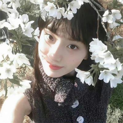 万花迎春